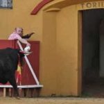 0166—-indulto-047 px